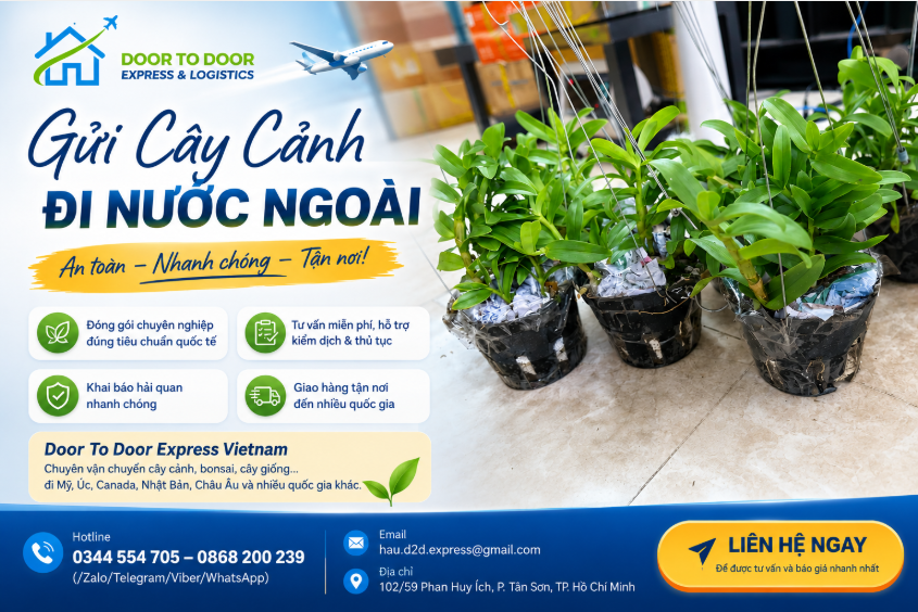 Gửi Cây Cảnh Đi Nước Ngoài Có Khó Không?