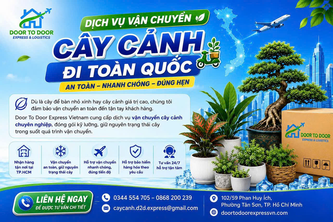 Dịch Vụ Gửi Cây Cảnh Đi Nước Ngoài Uy Tín, An Toàn
